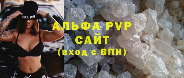 спайс Гусев