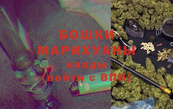 спайс Гусев