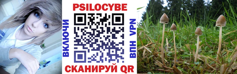 Псилоцибиновые грибы MAGIC MUSHROOMS  Купить закладки  Закаменск 